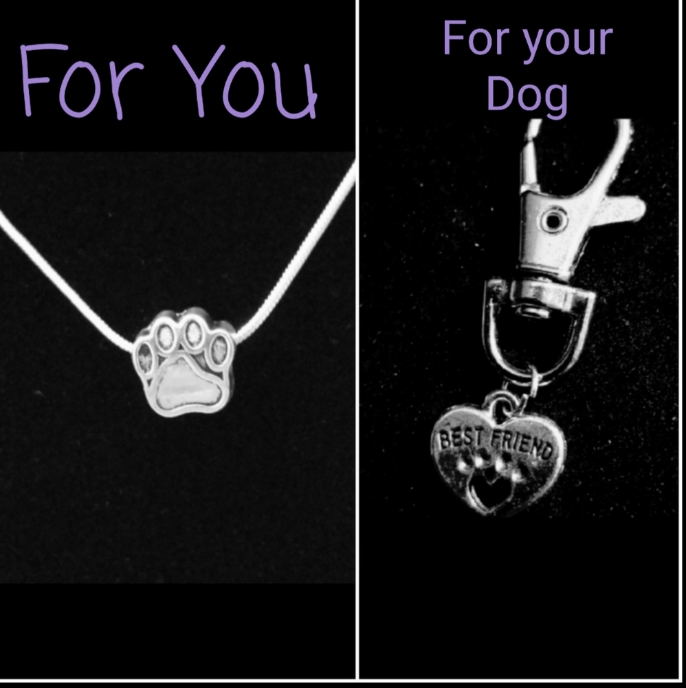 Sterling Silver Necklace & Doggy Collar Clip 🐕